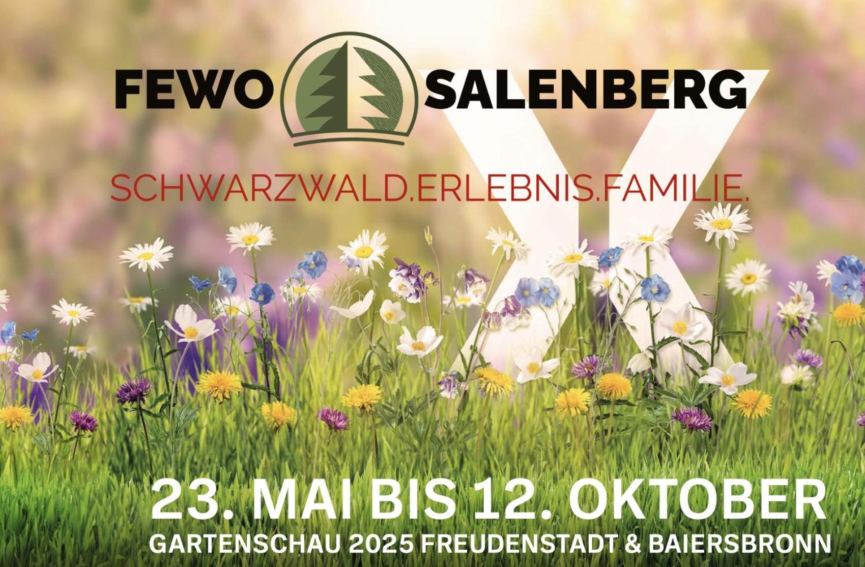 Fewo Salenberg فرودنستاد المظهر الخارجي الصورة